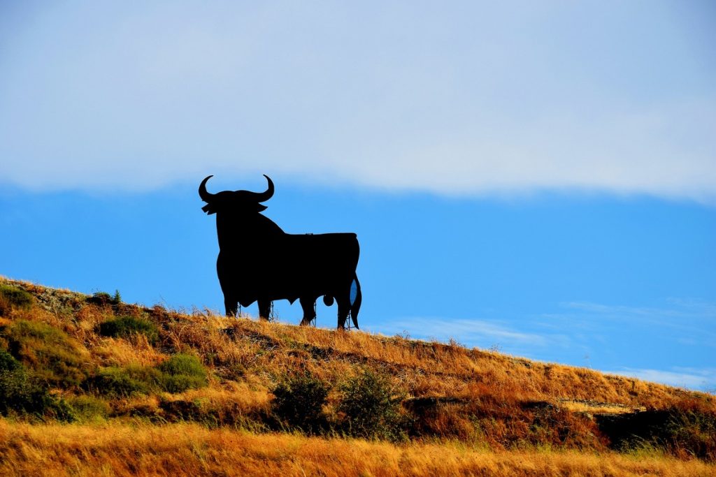Osborne Bull Cádiz